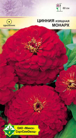 Цинния изящная Георгиноцветная Монарх 0.5г