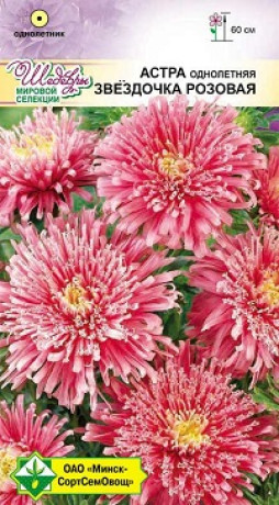 Астра Звездочка Розовая 0.1г