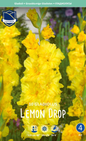 Гладиолус Lemon Drop (Lefeber)