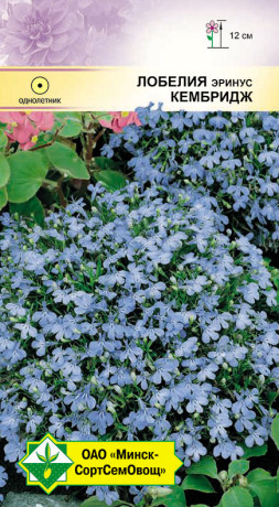 Лобелия эринус Кембридж 0.05г