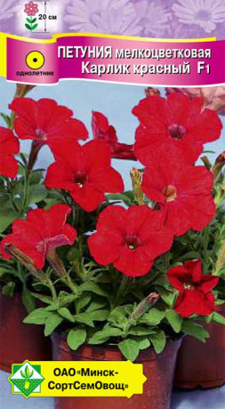 Петуния гибридная мелкоцветковая Карлик красный F1 7шт