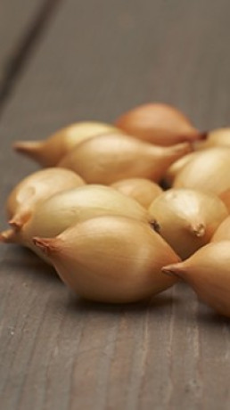 Лук-севок Сентурион F1 (10-17мм)