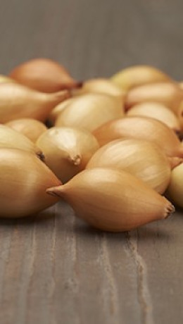 Лук-севок Коррадо F1 (10-21мм)