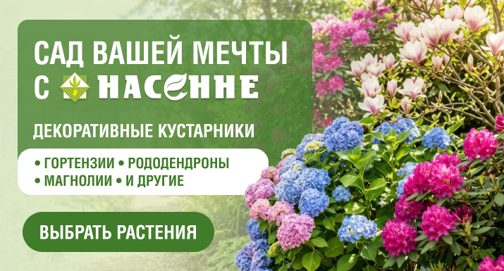 garden_1.png