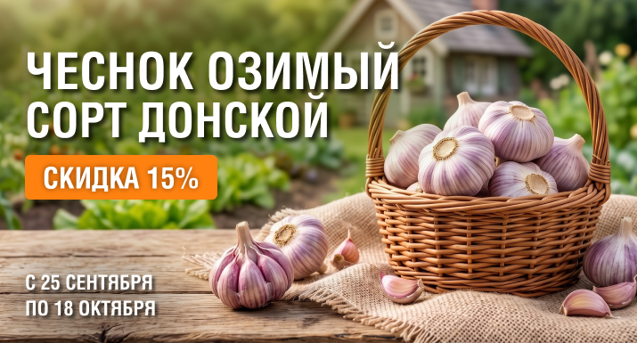 garlic.png