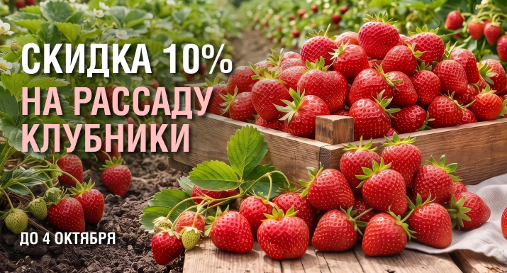 strawberry.png
